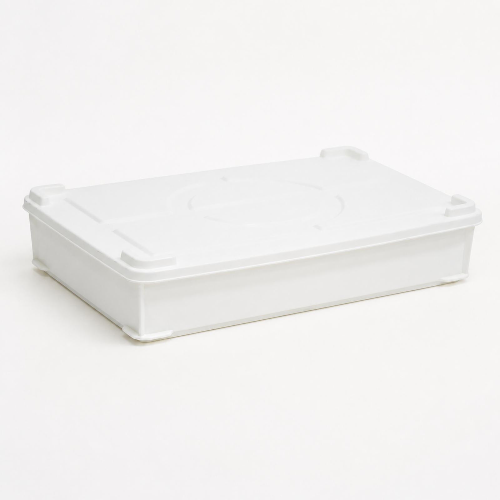 HDPE Fermentation Box for Doug - Food Storage Containers review and price